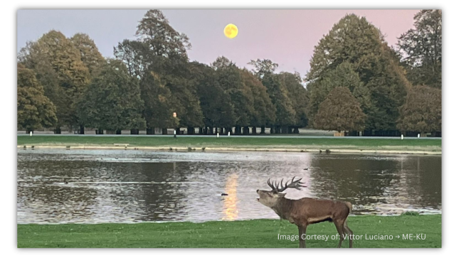 Kingston Uncovered: Stories & Secrets