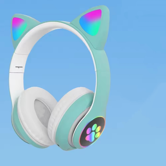 Audio, Video & Accessories  