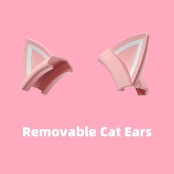 Audio, Video & Accessories  