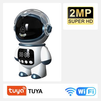 Video Surveillance
