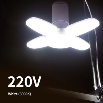 Light Bulbs