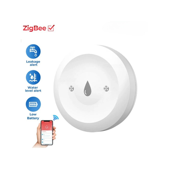 Alarm Systems & Security