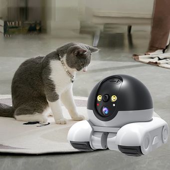 Video Surveillance