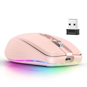 Computer Hardware & Accessories