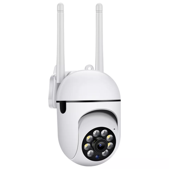 Video Surveillance