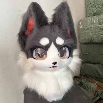 Cosplay Costumes
