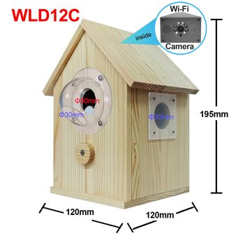 Video Surveillance