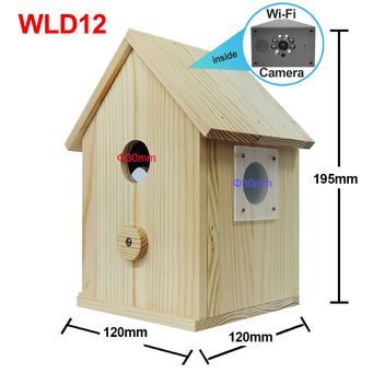 Video Surveillance