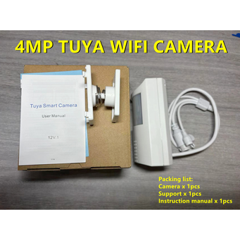 Video Surveillance