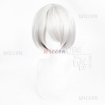 Cosplay Costumes