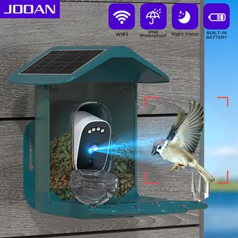 Video Surveillance