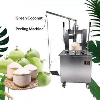 Kitchen Appliances