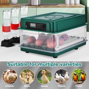 Pet & Veterinary Supplies