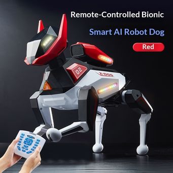 Remote Control Toys