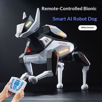 Remote Control Toys