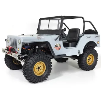 Remote Control Toys