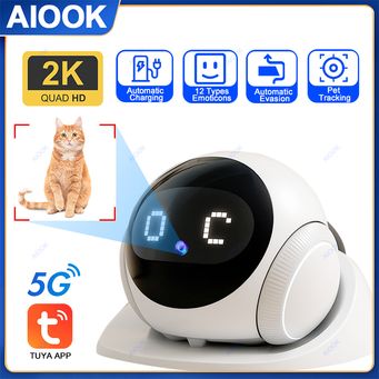 Video Surveillance