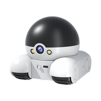 Video Surveillance