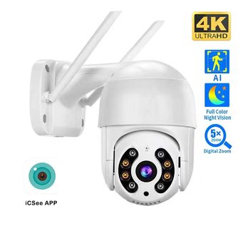 Video Surveillance