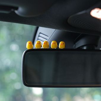 Interior Accessories