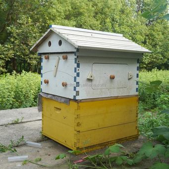 Home & Garden