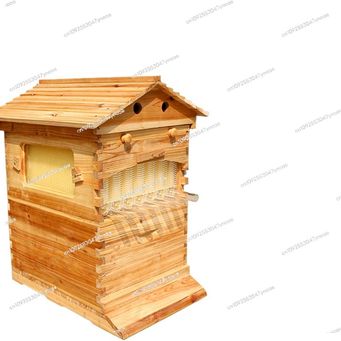 Home & Garden