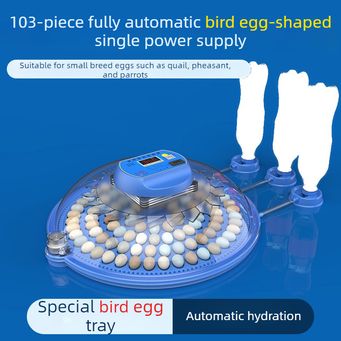 Pet & Veterinary Supplies