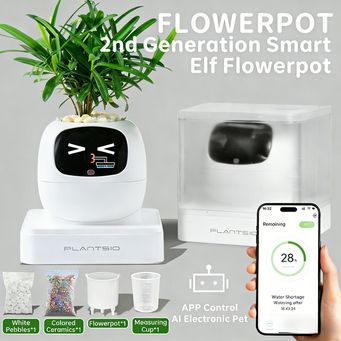 Smart Gadgets & IoT Devices