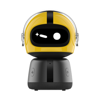 Smart Gadgets & IoT Devices
