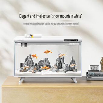 Smart Gadgets & IoT Devices
