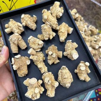 Health Care Products