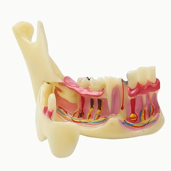 Dentist Tools, Equipment & Supplies  