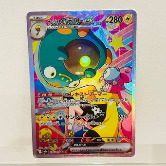 Hobby & Collectibles