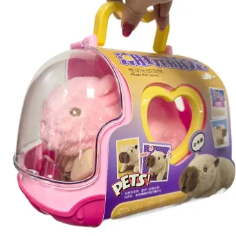 Musical Toys
