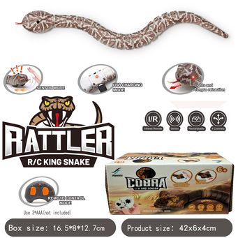 Remote Control Toys