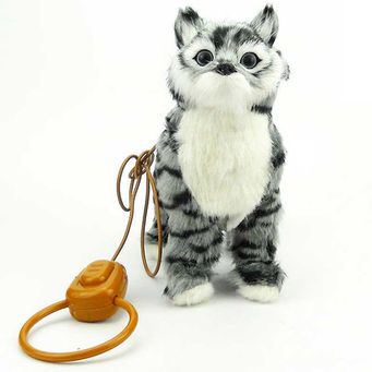 Musical Toys