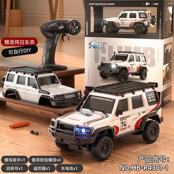 Remote Control Toys
