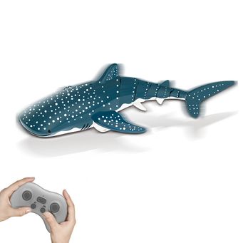 Remote Control Toys