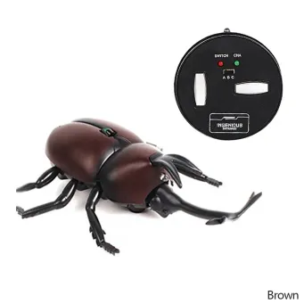Remote Control Toys