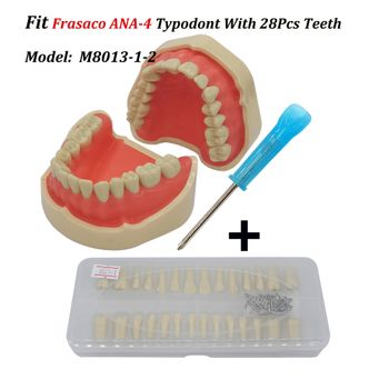 Dentist Tools, Equipment & Supplies  