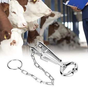 Pet & Veterinary Supplies