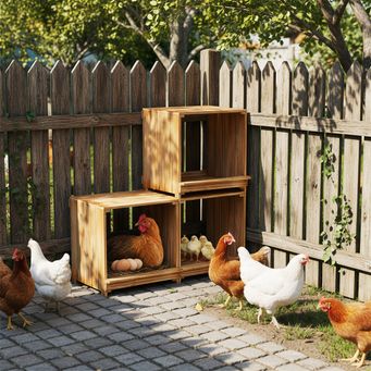 Pet & Veterinary Supplies