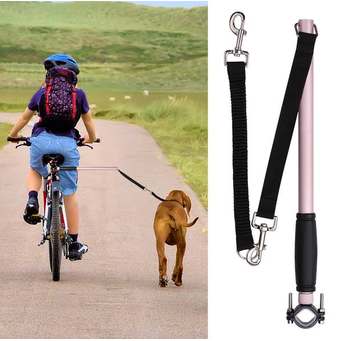 Pet Leashes