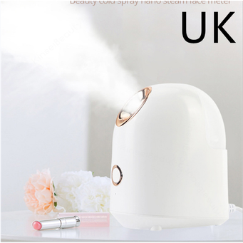 Facial Steamer