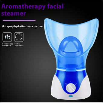 Facial Steamer