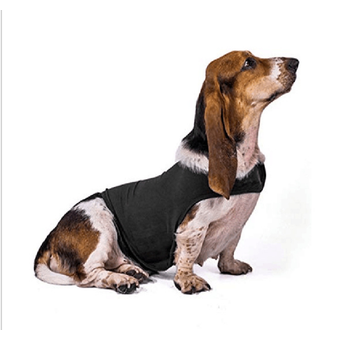 Pet Coats & Jackets