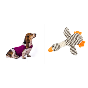Pet Coats & Jackets