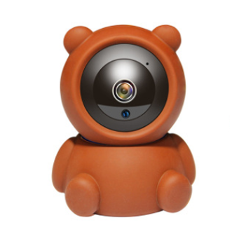 Surveillance Products