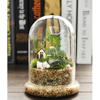 Storage Bottles & Jars