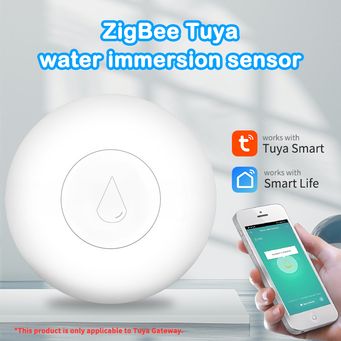 Home Automation (Smart lights, thermostats)